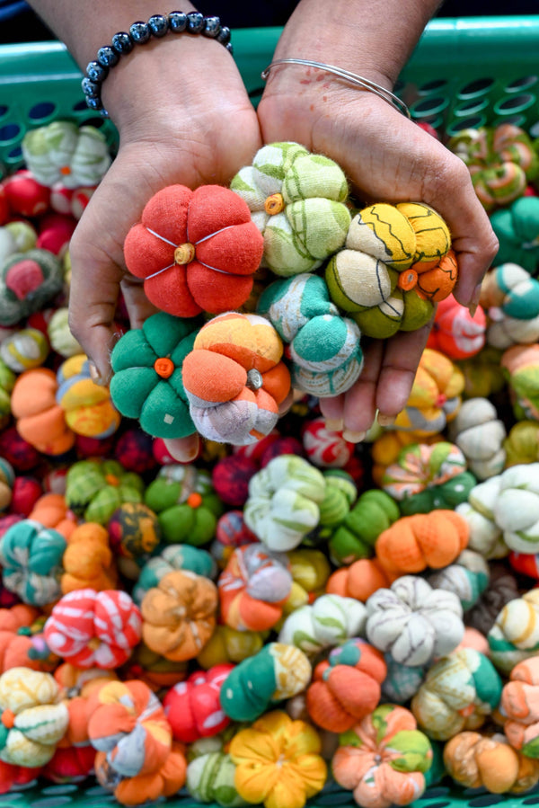 Mini Saree Pumpkins