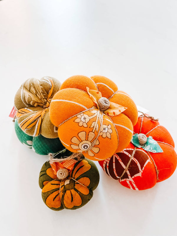 Saree Pumpkin | Medium